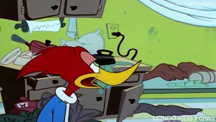 GALLINA CARPINTERO: PÁJARO LOCO - DIBUJOS ANIMADOS