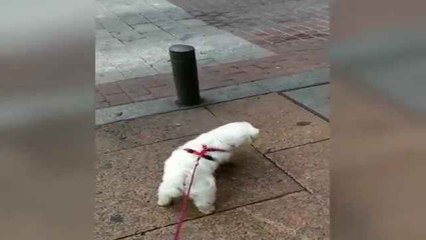 Visita a la exposición Refugiados climáticos en la Librería Cervantes y Compañía