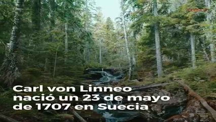 Curiosidades sobre Carl Linneo