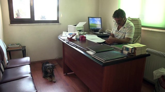 Yeni mahalle muhtarlığı 61 yıldır aynı aileye emanet - TRABZON