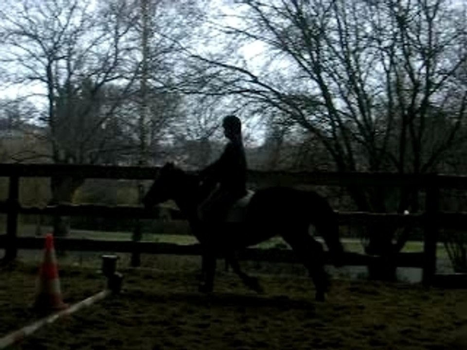 Moi et Merveille (L')