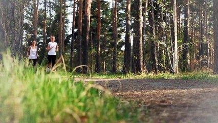 A vendre - Maison/villa - PLOUGUERNEAU (29880) - 7 pièces - 129m²