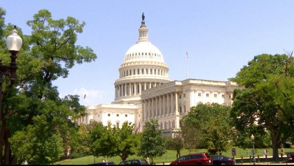 Democrats say Khashoggi 'rogue killers' theory 'defies reality'