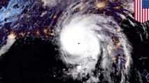 Badai Michael menuju ke pedalaman tenggara AS - TomoNews