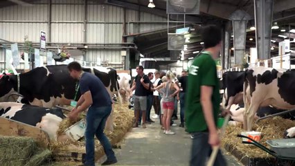 Denis Biéri, PHF : « La Prim'holstein conservera sa première place encore longtemps »