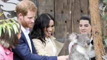 Australie: Harry et Meghan rencontrent des koalas