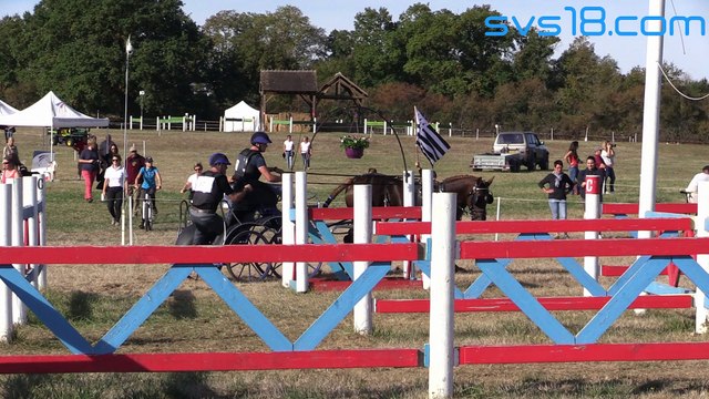 Lignières attelage - championnat de France 12-14 octobre 2018