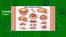 Popular The Human Skull Anatomical Chart