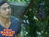 Kapag Nahati Ang Puso: Ang kapalit ng pagtakas ni Claire | Episode 67
