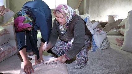 Habibe teyze su değirmenini 25 yıldır çeviriyor - ARTVİN