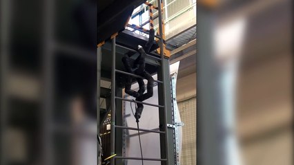 Merdiven tırmanabilen yılan robot