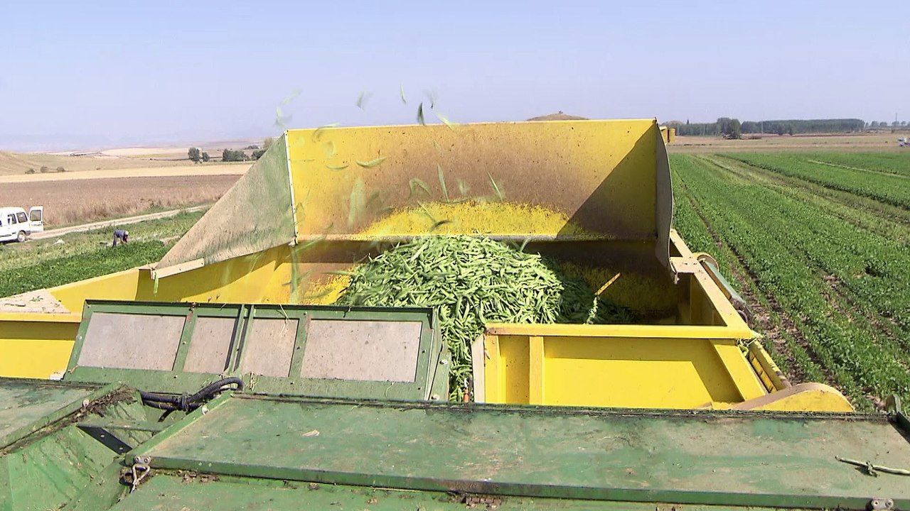 Las verduras congeladas favorecen una alimentación saludable