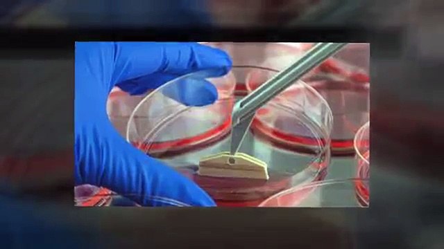 Stem Cell and PRP Injections