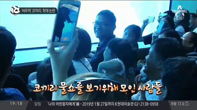 ‘허우적’ 코끼리, 학대 논란