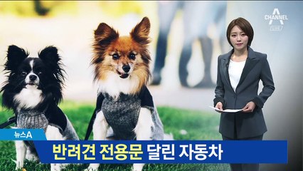 반려견에게 아낌없이 쓴다…이젠 ‘펫미족’ 시대