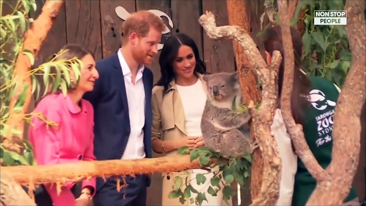 Meghan Markle enceinte : le prince Harry et la duchesse "prêts et excités"