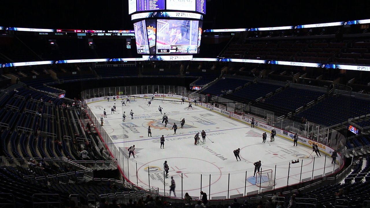Solar bears 2018