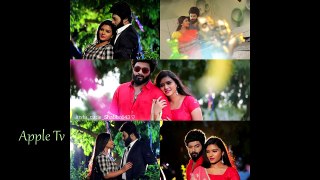 Sembaruthi Serial Breaking news