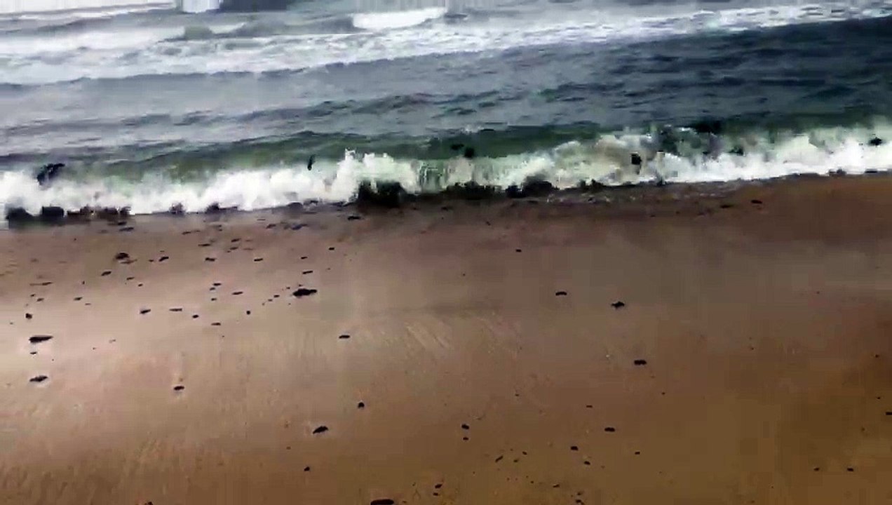les boulettes de pétrole s'échouer sur la plage de Pampelonne
