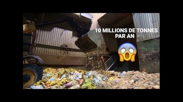 Pour lutter contre le gaspillage alimentaire, voici 5 applis