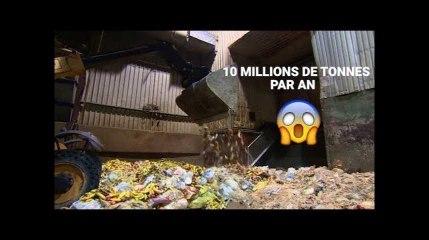 Pour lutter contre le gaspillage alimentaire, voici 5 applis