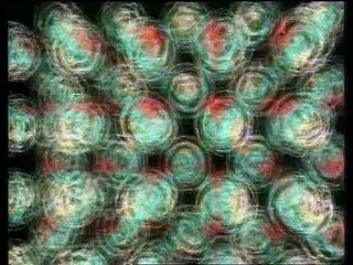 Quarks