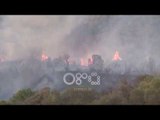 Ora News - Shkodër, 1500 rrënjë ullinj dhe 10 ha u shkrumbuan nga zjarri në malin e Taraboshit