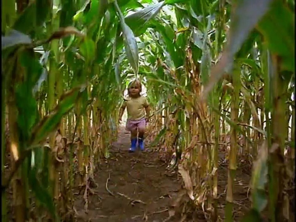 Baby Einstein  Baby MacDonald A Day on the Farm