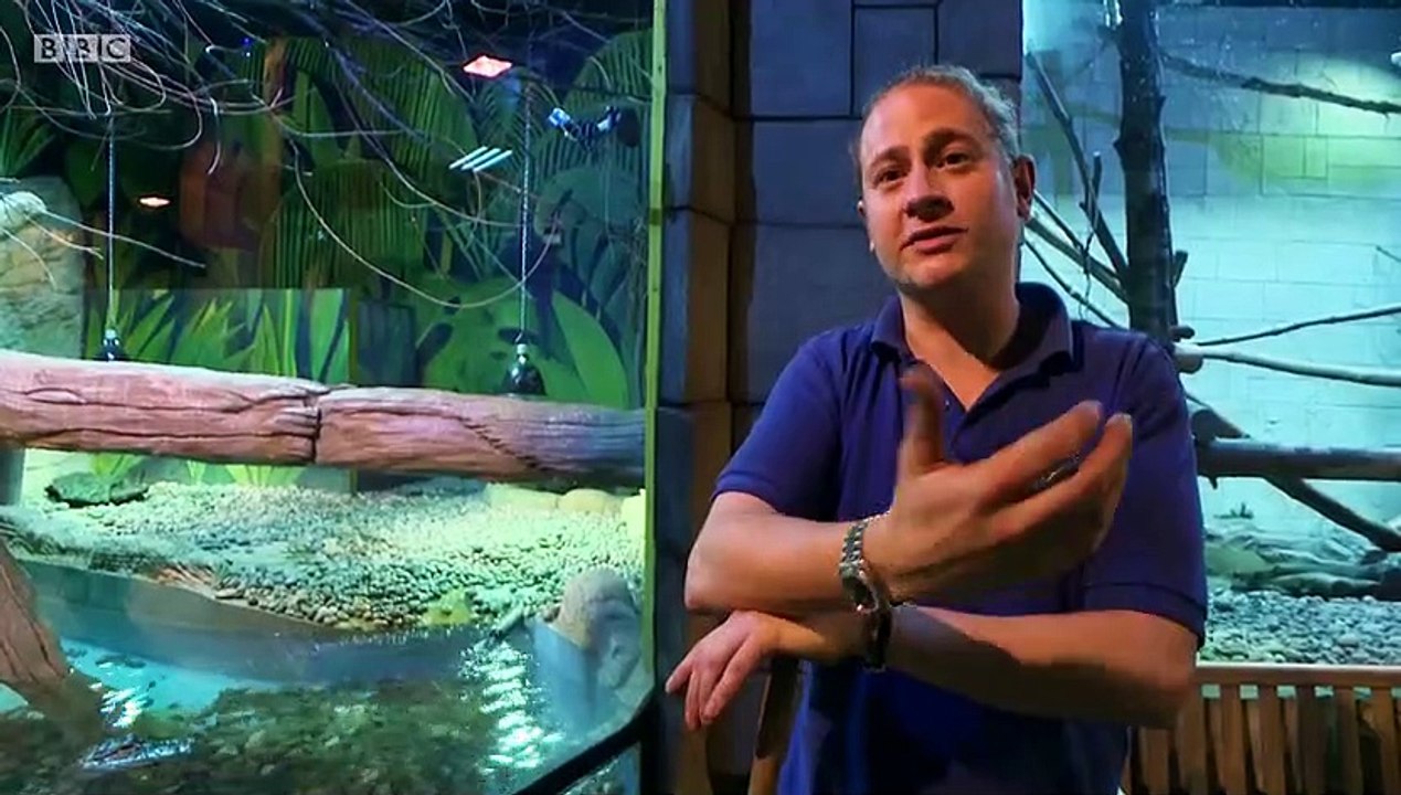 A1 Britain's Longest Road S01E11