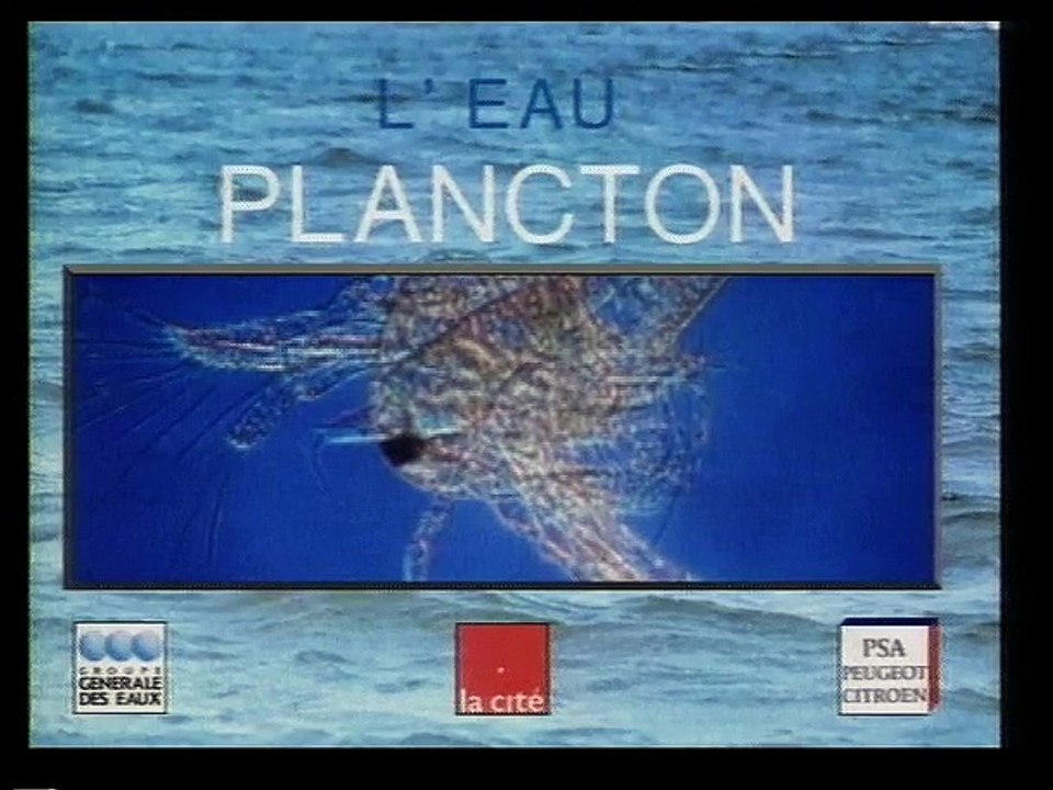 Plancton