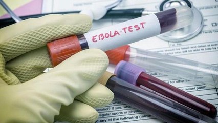 WHO to meet on Congo's Ebola outbreak as toll soars