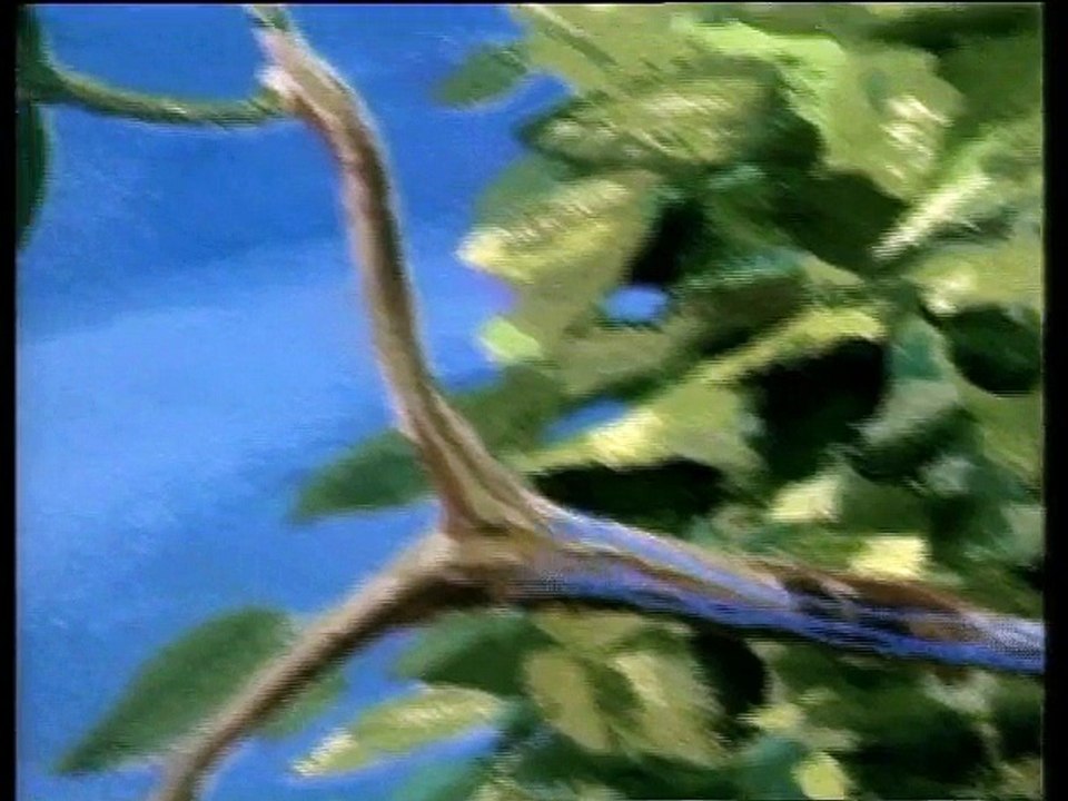 Arbre