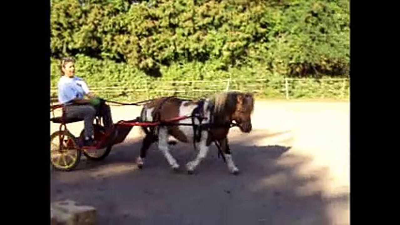 FEODEN ATTELE
