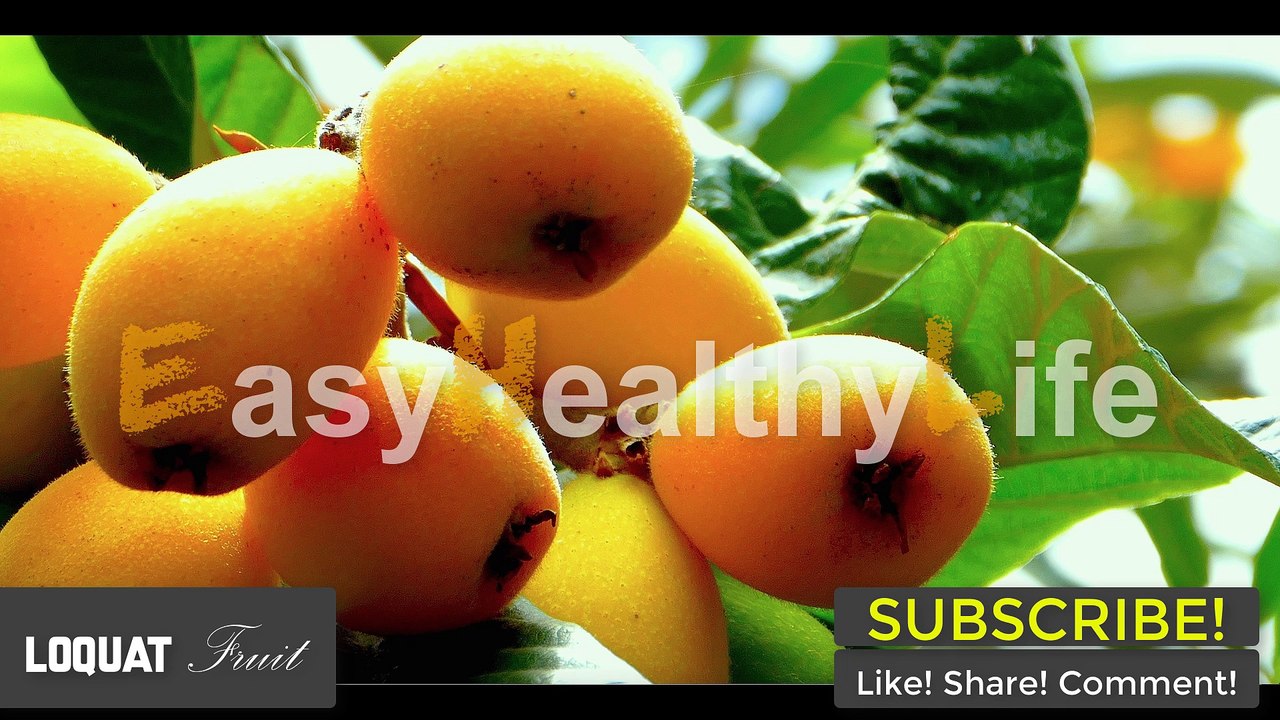 LOQUAT Fruit in Nairobi Kenya