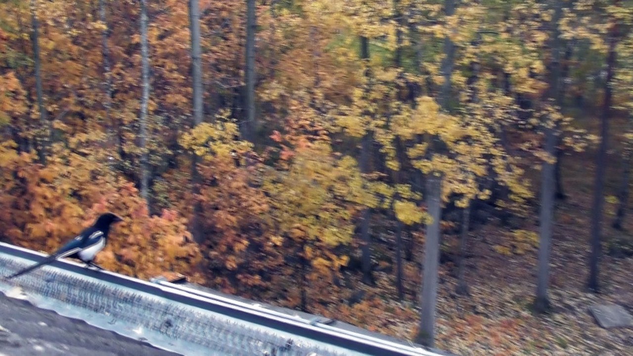 Oct 13 2018 DL