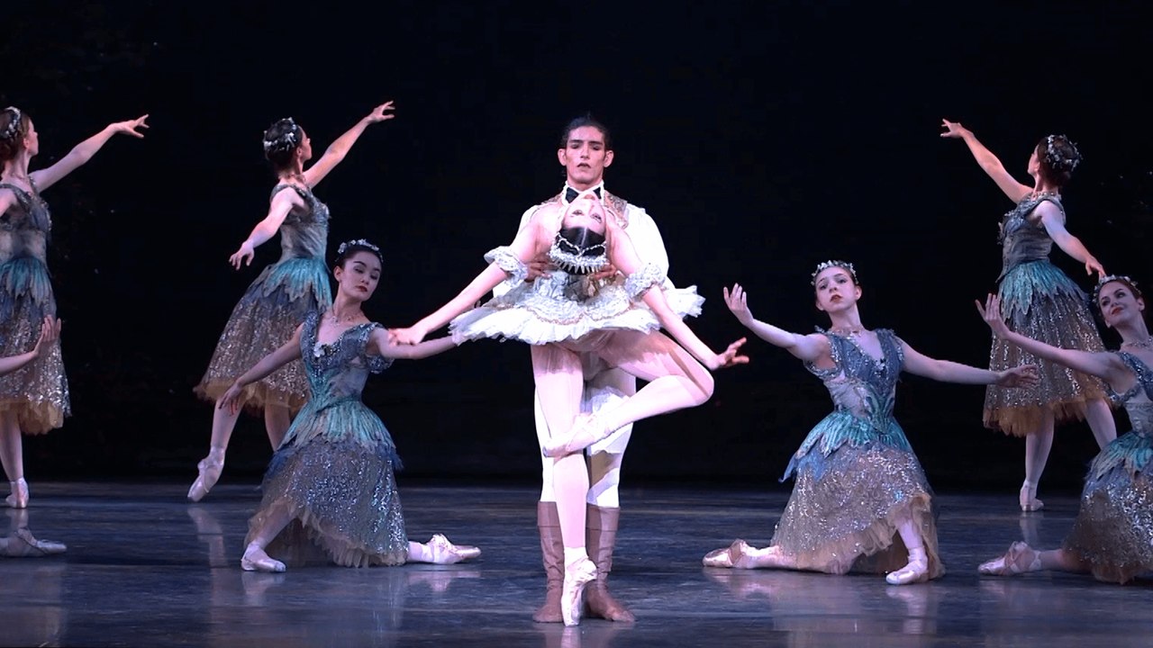 Perfecting -The Sleeping Beauty-