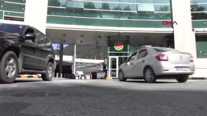 Artvin Sarp Sınır Kapısı'nda Kayın Mantarı Yoğunluğu