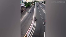 Motorcyclist Rescues Puppy From Road