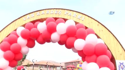 Derik Zeytin Festivali'nde Renkli Simalar Yer Aldı