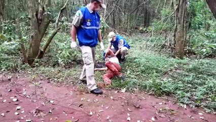 Siate socorre homem que caiu em riacho, perto do Lago