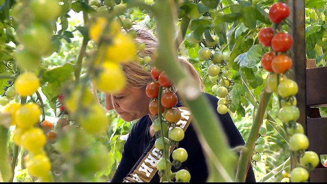 Fears Brexit could lead to food shortages in EU and UK