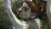Degas: une passion pour la perfection Bande-annonce VF (2018) Documentaire
