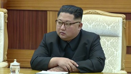 김정은, 이달말 다음달 초 러시아 방문 / YTN