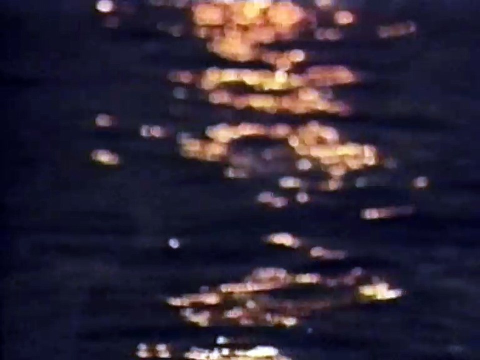 Biljana Jevtic - Daj mi noc