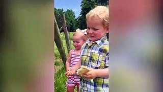 Funny Baby And Goat Compilation