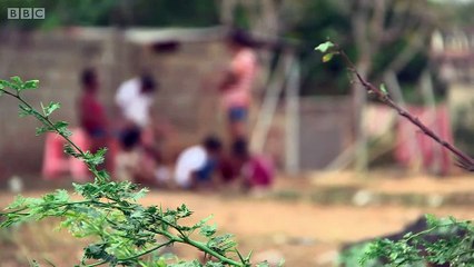 Sem alimento, mães estão dando seus filhos na Venezuela