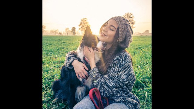 La ciencia explica por qué los perros adoran a los humanos