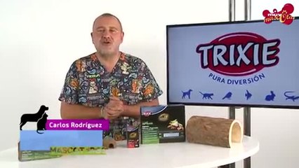 Tải video: Elementos básicos de un terrario