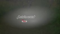 Godzilla existe