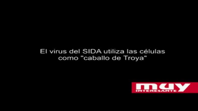 El sida utiliza las células como \ caballos de Troya\